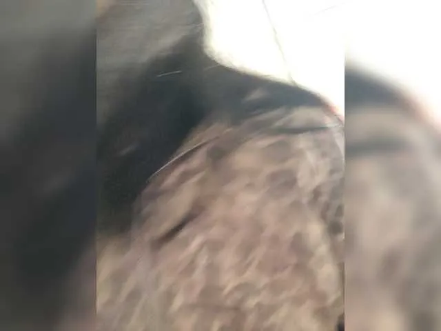 Adelina-Libby from BongaCams