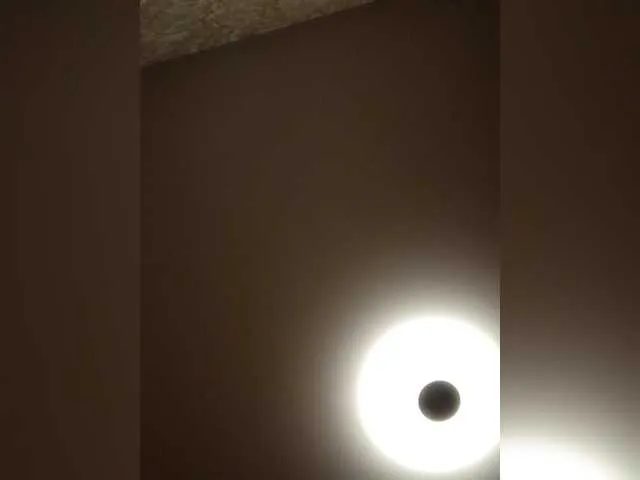 Albina888a from BongaCams