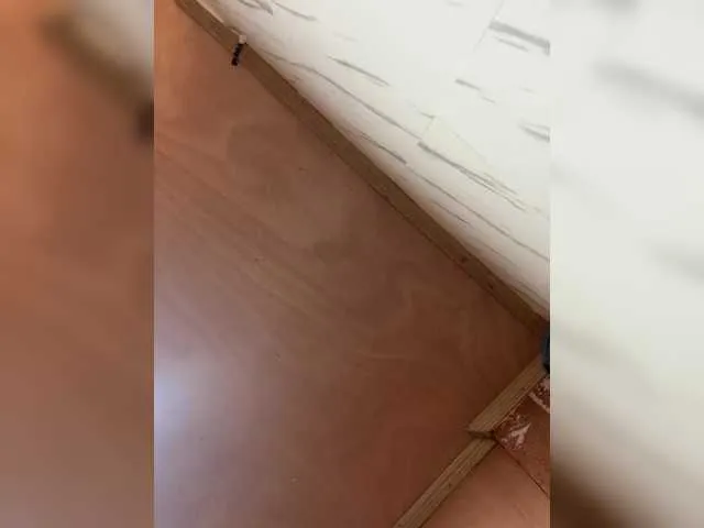 cutiepinayxx from BongaCams