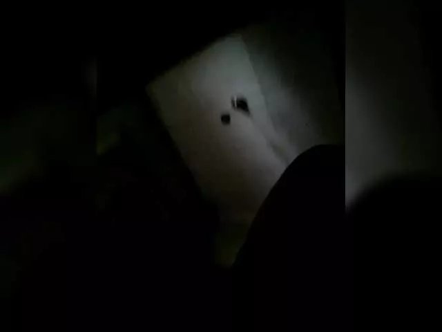 Offline EksaCake on BongaCams