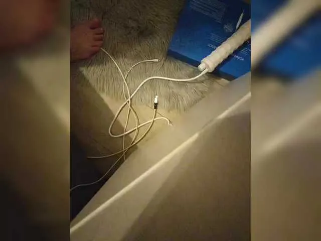 Koshecka77 from BongaCams