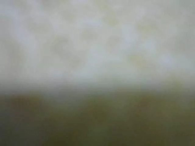 Queenfey on BongaCams 