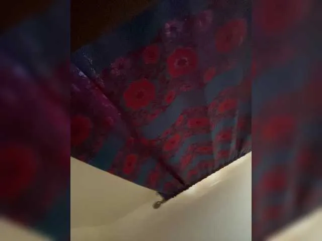 Steicylovee from BongaCams