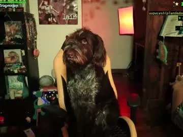 Slutty indulgence with the rounded Frogessjay from Chaturbate stripping off on webcam frogessjay from Chaturbate