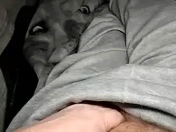 stargazor from Chaturbate