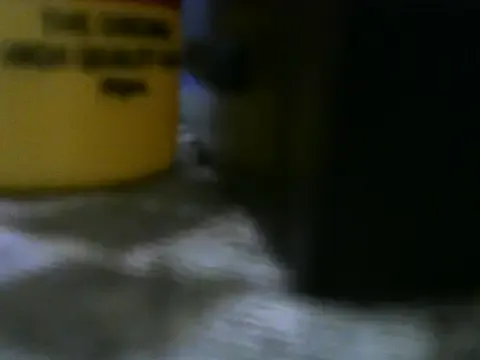 beauty_petite from StripChat