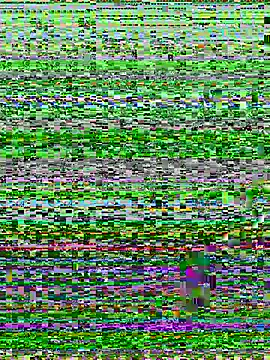 Hachi_Sweetbabie_ from StripChat