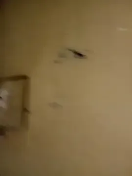 honeypot224 from StripChat