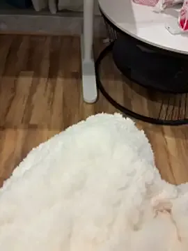 StripChat's Loveto_eathawthorn99 - curiosity webcam model to encourage all your whims Loveto_eathawthorn99 from StripChat