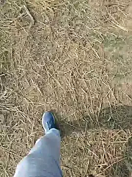 Pagelboy_089 from StripChat