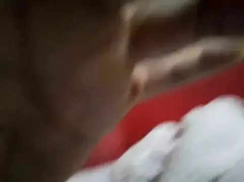 Bicurious sexiness: Siegfri3d__ gets bare naked while fingering her cherry in public Siegfri3d__ from StripChat