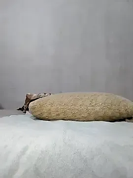 Stallion100 from StripChat